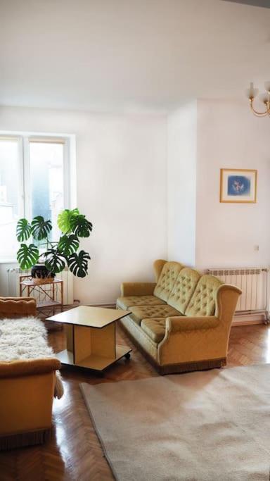 Central Rooms Przemyśl Extérieur photo